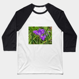 Algerian Iris Baseball T-Shirt